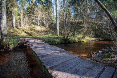 Tahta döşeme, yaya yolu. Gölde trambolin.