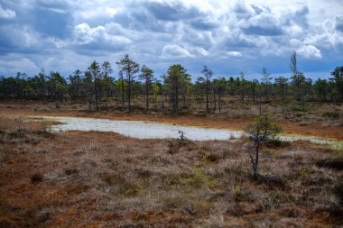 Ulusal mavi gökyüzü ve bulutlar yansımaları ile bataklık göller 