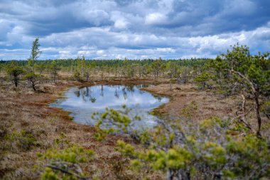 Ulusal mavi gökyüzü ve bulutlar yansımaları ile bataklık göller 
