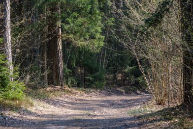kırsal güzel çakıl yol