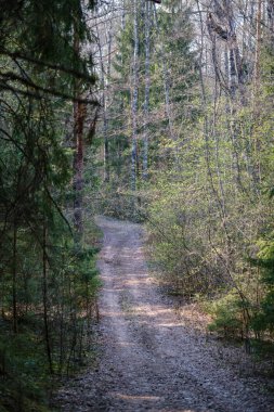 kırsal güzel çakıl yol