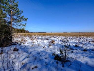 kırsal alanda karla kaplı alanlar