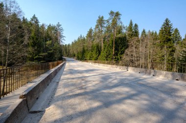 küçük orman nehri üzerinde köprü