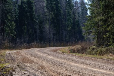 güneş ışınları ve gölgeler ile ormanda boş çakıl toz yolu