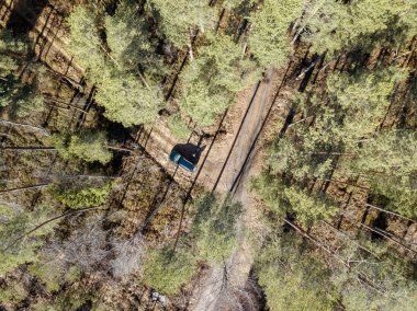 küçük göl ile kırsal sonsuz yeşil ormanların havadan görünümü