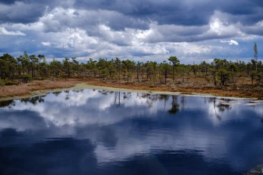 Ulusal mavi gökyüzü ve bulutlar yansımaları ile bataklık göller 