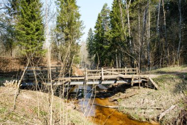 küçük orman nehri üzerinde köprü