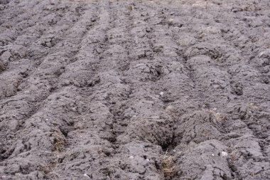 frshly sürülmüş tarım alanları