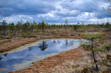 Ulusal mavi gökyüzü ve bulutlar yansımaları ile bataklık göller 