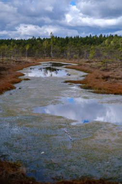 Ulusal mavi gökyüzü ve bulutlar yansımaları ile bataklık göller 