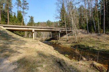 küçük orman nehri üzerinde köprü