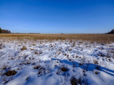 kırsal alanda karla kaplı alanlar