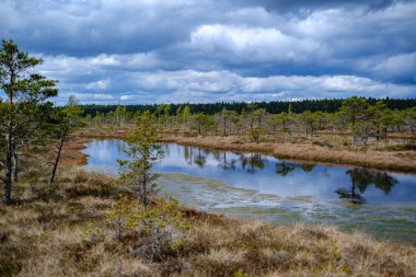 Ulusal mavi gökyüzü ve bulutlar yansımaları ile bataklık göller 