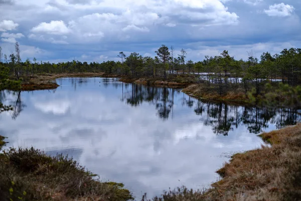 Moeras meren met reflecties van blauwe lucht en wolken in nationaal — Stockfoto