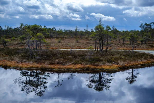 Moeras meren met reflecties van blauwe lucht en wolken in nationaal — Stockfoto