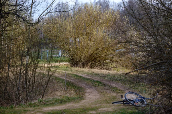 太陽の光と影を持つ森の中の空の砂利の塵道 — ストック写真