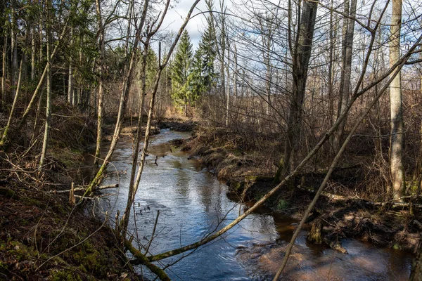 Bosque rural río a principios de primavera sin vegetación en el s — Foto de Stock