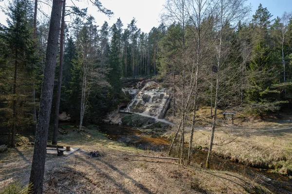 rock covered river bed in forest with low water level