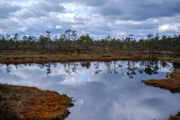 Moeras meren met reflecties van blauwe lucht en wolken in nationaal — Stockfoto