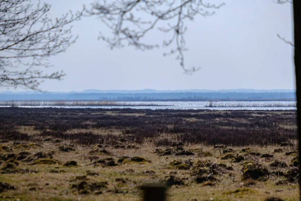 Lago di foresta circondato da tronchi d'albero e rami senza permesso — Foto Stock