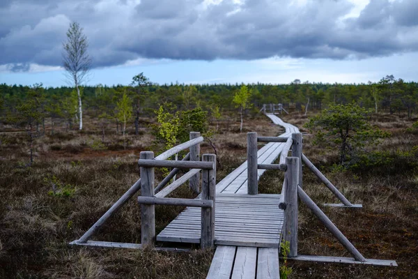 Bella passerella in legno plancia sentieri in palude par nazionale — Foto Stock