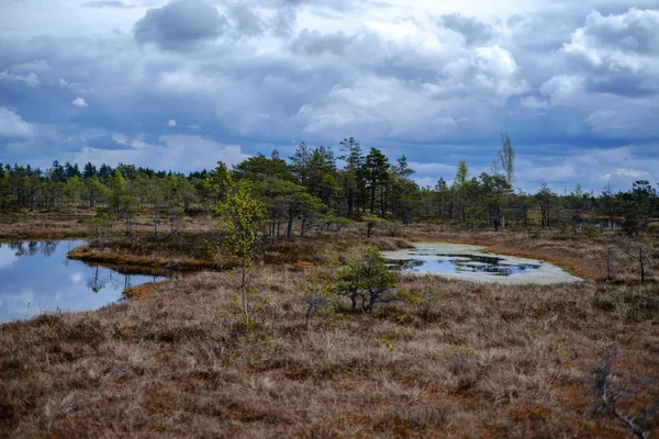 Ulusal mavi gökyüzü ve bulutlar yansımaları ile bataklık göller 