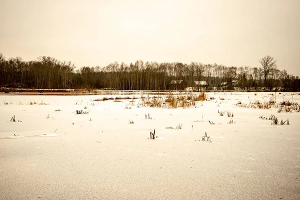 冬季乡村的冰冻地面纹理 — 图库照片