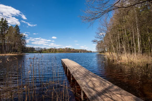 Wooden plank foothpath boardwalk trampoline in the lake — 스톡 사진