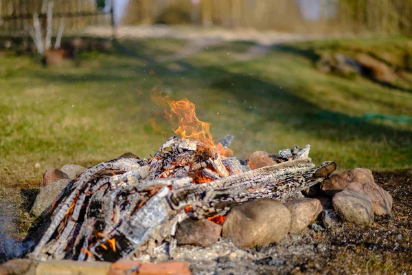 Open fire burning logs in field with green grass — Stock Photo, Image