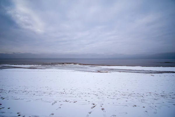 Kar ve donmuş ağaçlar ile buz dondurulmuş deniz plajı — Stok fotoğraf