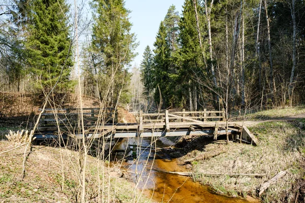 Puente sobre un pequeño río forestal — Foto de Stock