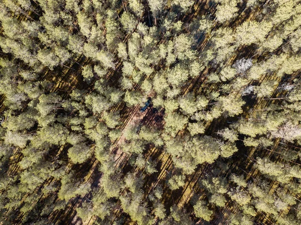 Küçük göl ile kırsal sonsuz yeşil ormanların havadan görünümü — Stok fotoğraf