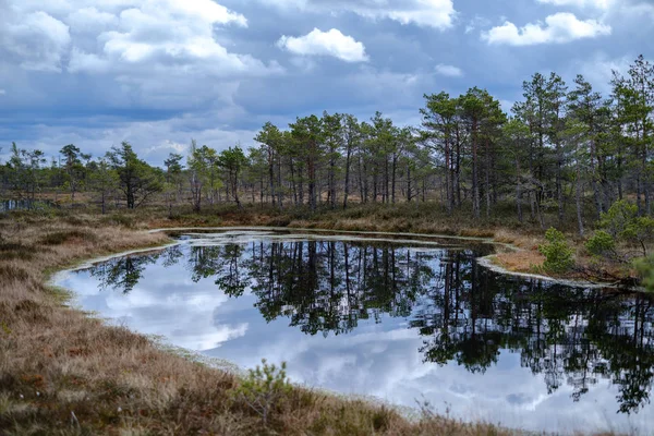 Lagos pântano com reflexos do céu azul e nuvens em Nacional — Fotografia de Stock