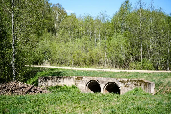 Küçük orman nehri üzerinde köprü — Stok fotoğraf