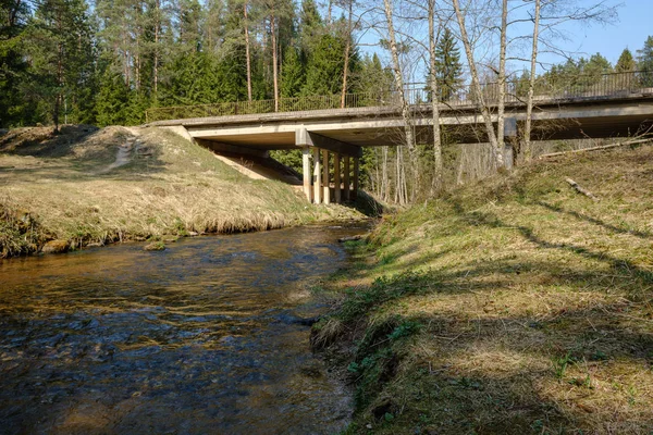 Bridge over small forest river — Stock Photo, Image