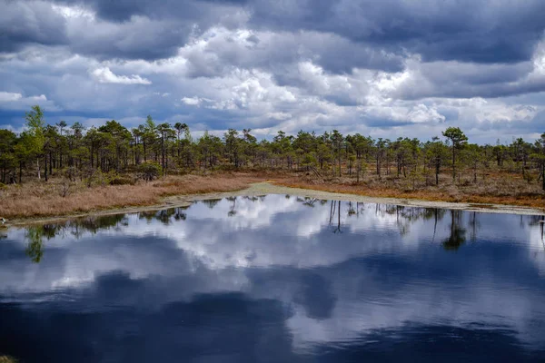 Sumpfseen mit Reflexionen von blauem Himmel und Wolken in nationalen — Stockfoto