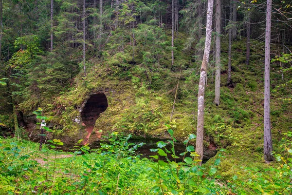 Скала из песчаника с темным входом в пещеру в зеленом лесу — стоковое фото