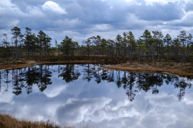 Ulusal mavi gökyüzü ve bulutlar yansımaları ile bataklık göller 