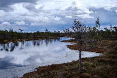 Ulusal mavi gökyüzü ve bulutlar yansımaları ile bataklık göller 