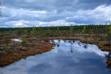 Ulusal mavi gökyüzü ve bulutlar yansımaları ile bataklık göller 