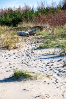 erken ilkbaharda deniz kenarında boş kumullar