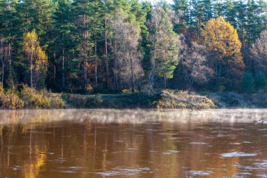 sonbaharda kırsal nehir üzerinde sakin su üzerinde sabah sis