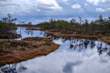 Ulusal mavi gökyüzü ve bulutlar yansımaları ile bataklık göller 
