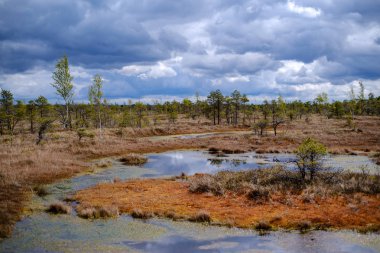 Ulusal mavi gökyüzü ve bulutlar yansımaları ile bataklık göller 
