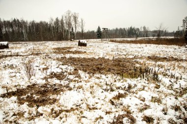 kış kırsal dondurulmuş zemin dokusu