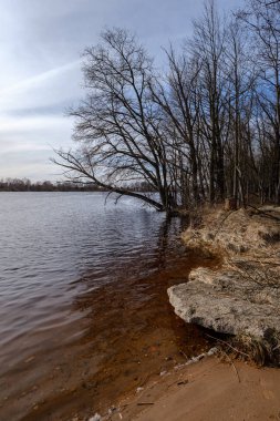 güneşli bir günde kum ve su ile deniz plajı