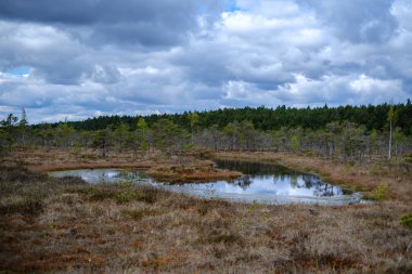 Ulusal mavi gökyüzü ve bulutlar yansımaları ile bataklık göller 