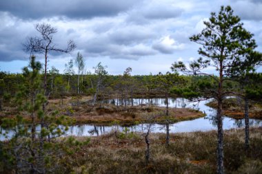 Ulusal mavi gökyüzü ve bulutlar yansımaları ile bataklık göller 