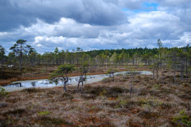 Ulusal mavi gökyüzü ve bulutlar yansımaları ile bataklık göller 