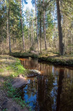 Tahta döşeme, yaya yolu. Gölde trambolin.